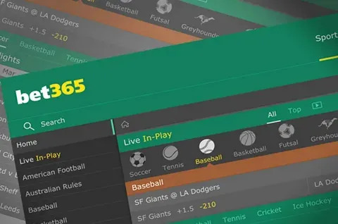 3333 bet app apk 