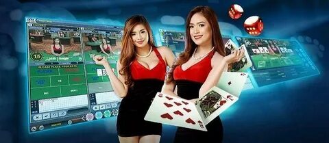 apostas esportivas 979bet 