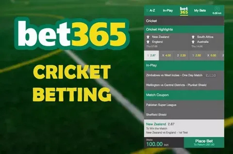 bet app divide um 