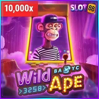 como pegar dinheiro emprestado na blaze 