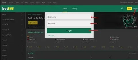 lotofacil 3343 