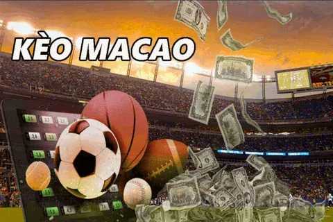qual o melhor horário para jogar fortune mouse hoje 